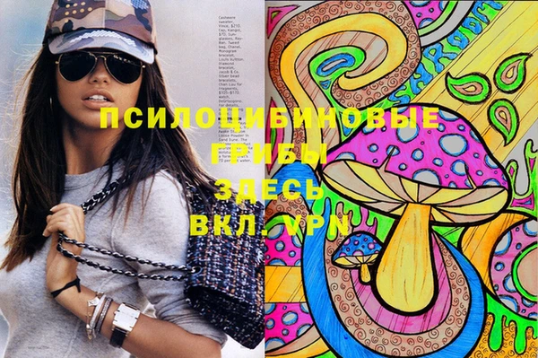 прущие крисы Абинск