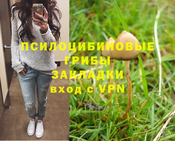 прущие крисы Абинск
