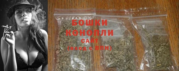 дурь Надым