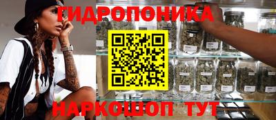 стафф Шахты