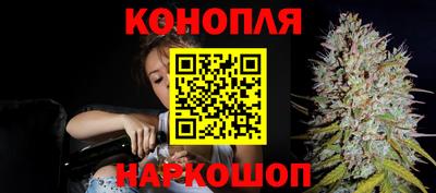 стафф Шахты