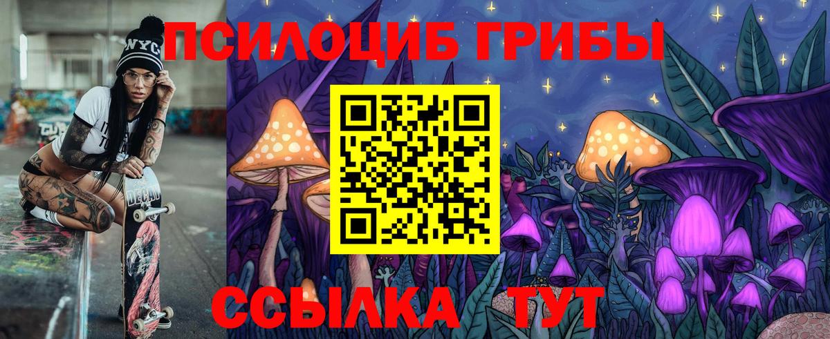 Галлюциногенные грибы MAGIC MUSHROOMS  Вход с VPN  Галлюциногенные грибы Psilocybe  Приморско-Ахтарск 