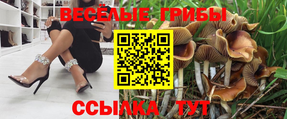 Псилоцибиновые грибы Magic Shrooms Приморско-Ахтарск